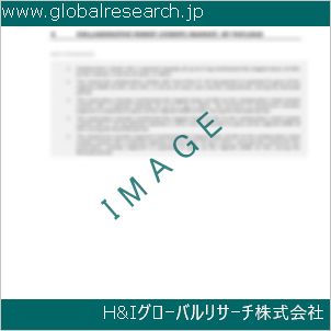 グローバルリサーチ調査資料のイメージ